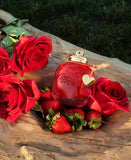 Coach Love EDP 3-Pc Set for Women