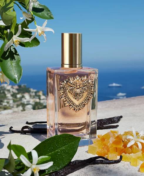 W-D&G DEVOTION 1.7 EDP SPR