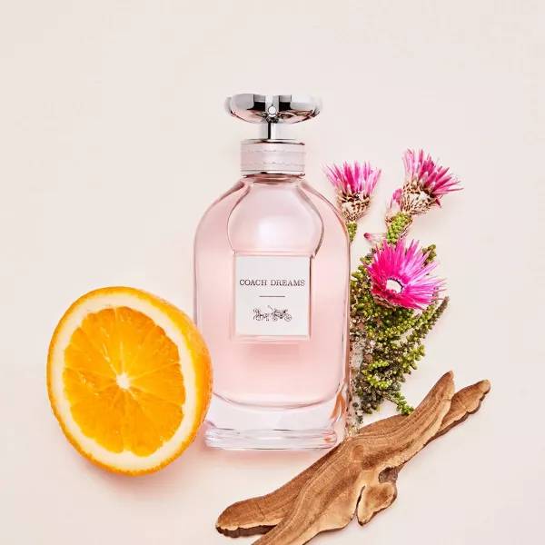 Coach Dream Eau de Parfum 3 oz for Women