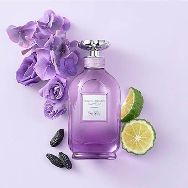 Coach Dreams Moonlight EDP 3 oz Spray